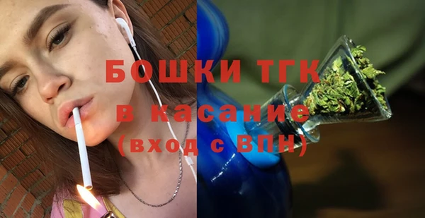 spice Богородск