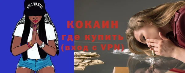 винт Богданович