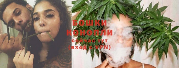 винт Богданович