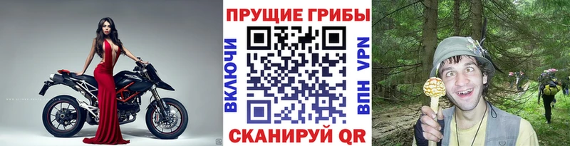Псилоцибиновые грибы прущие грибы  Кировград 